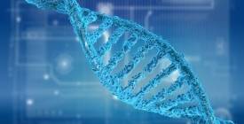 Рідкісна генна мутація відкриває нові можливості у попередженні діабету 1 типу