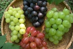 Виноград при диабете. Польза и особенности ягоды