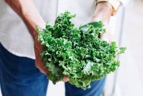Чому потрібно їсти листові зелені овочі?