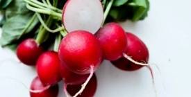 Редис при діабеті: вуглеводи, ГІ, корисні властивості та інше