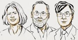 Нобелівська премія з медицини 2025: відкриття, що може змінити підхід до автоімунних хвороб