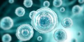 Лікування діабету 1 типу: новий крок до життя без інсуліну