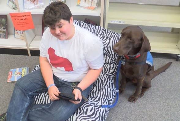 Местный герой: мальчик с диабетом и его собака - изображение