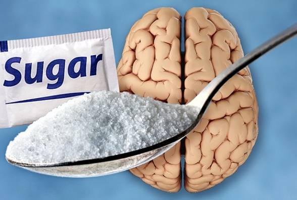Ученые открыли новые факты о влиянии сахара на мозг - изображение