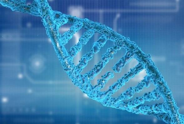 Рідкісна генна мутація відкриває нові можливості у попередженні діабету 1 типу - изображение