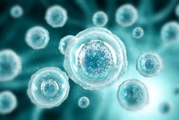 Лікування діабету 1 типу: новий крок до життя без інсуліну - изображение