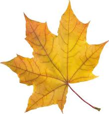 Хорошее настроение - отправляемся в лес! - 5 изображение