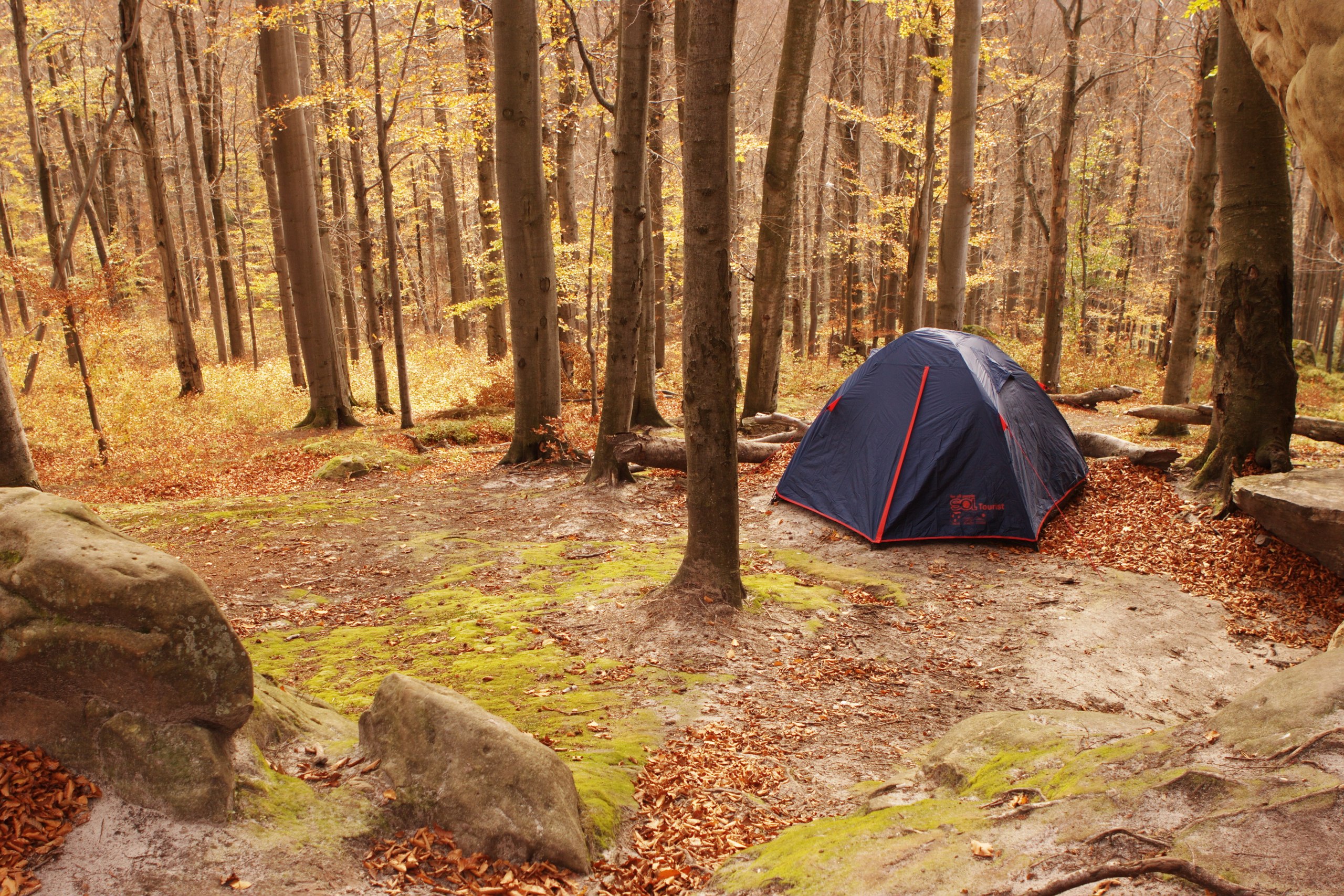 Хорошее настроение - смех! - 7 изображение