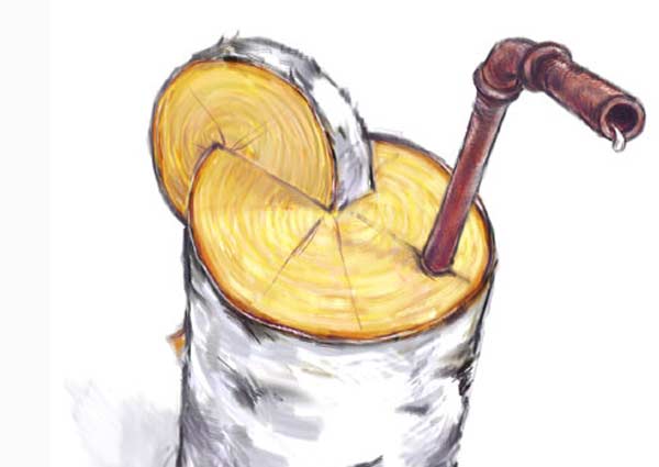 Якій цукор більш здровий: з буряків, тростинний цукор, стевія чи цукор з берези? - 5 изображение