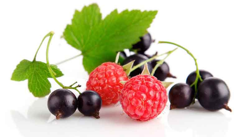 Якій цукор більш здровий: з буряків, тростинний цукор, стевія чи цукор з берези? - 7 изображение