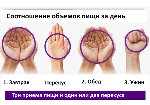 Размер имеет значение! Какими должны быть порции - инфографика - 3 изображение