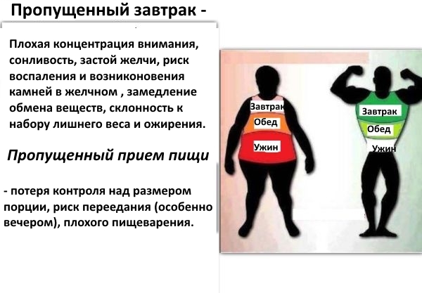 Размер имеет значение! Какими должны быть порции - инфографика - 4 изображение