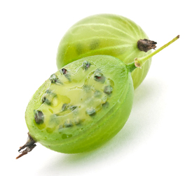 Крыжовник при диабете - можно или нельзя ? - 2 изображение