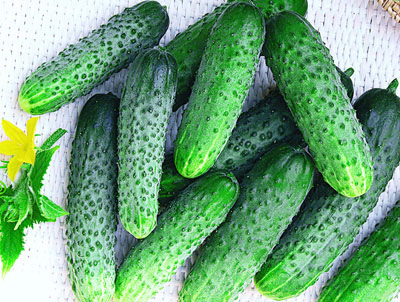 Топ-25 овощей с минимальным содержанием углеводов - 3 фото Топ-25 овощей с минимальным содержанием углеводов - 3 изображение