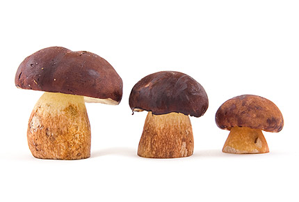 Топ-25 овощей с минимальным содержанием углеводов - 7 фото Топ-25 овощей с минимальным содержанием углеводов - 7 изображение