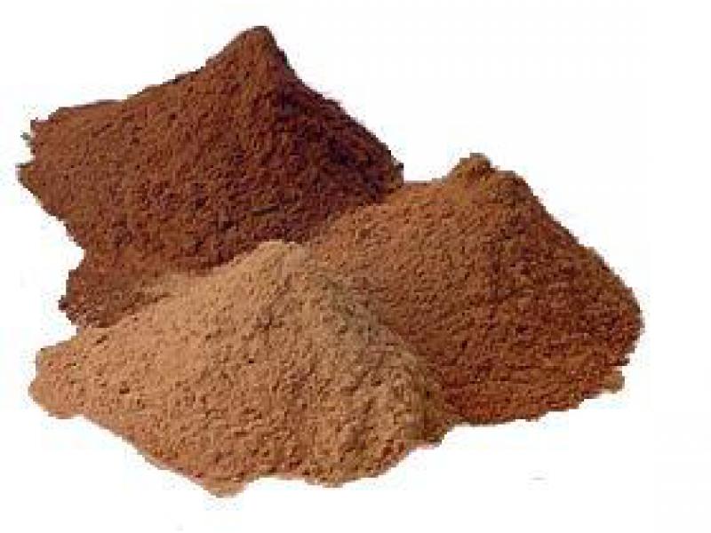 Кэроб - лучшая альтернатива какао при диабете - 2 изображение