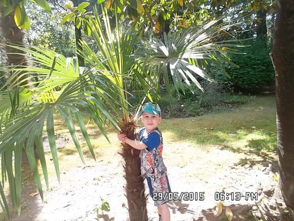 Голосование за победителей конкурса Мое лето с диабетом - 14 фото Голосование за победителей конкурса Мое лето с диабетом - 14 изображение