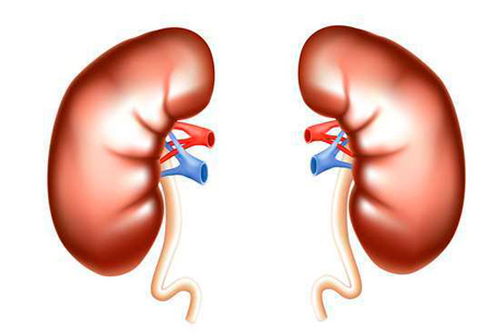 Симптомы и лечение диабетической нефропатии - 2 изображение
