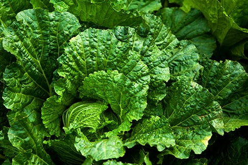 Продукты, которые помогут избавиться от депрессии - 7 изображение