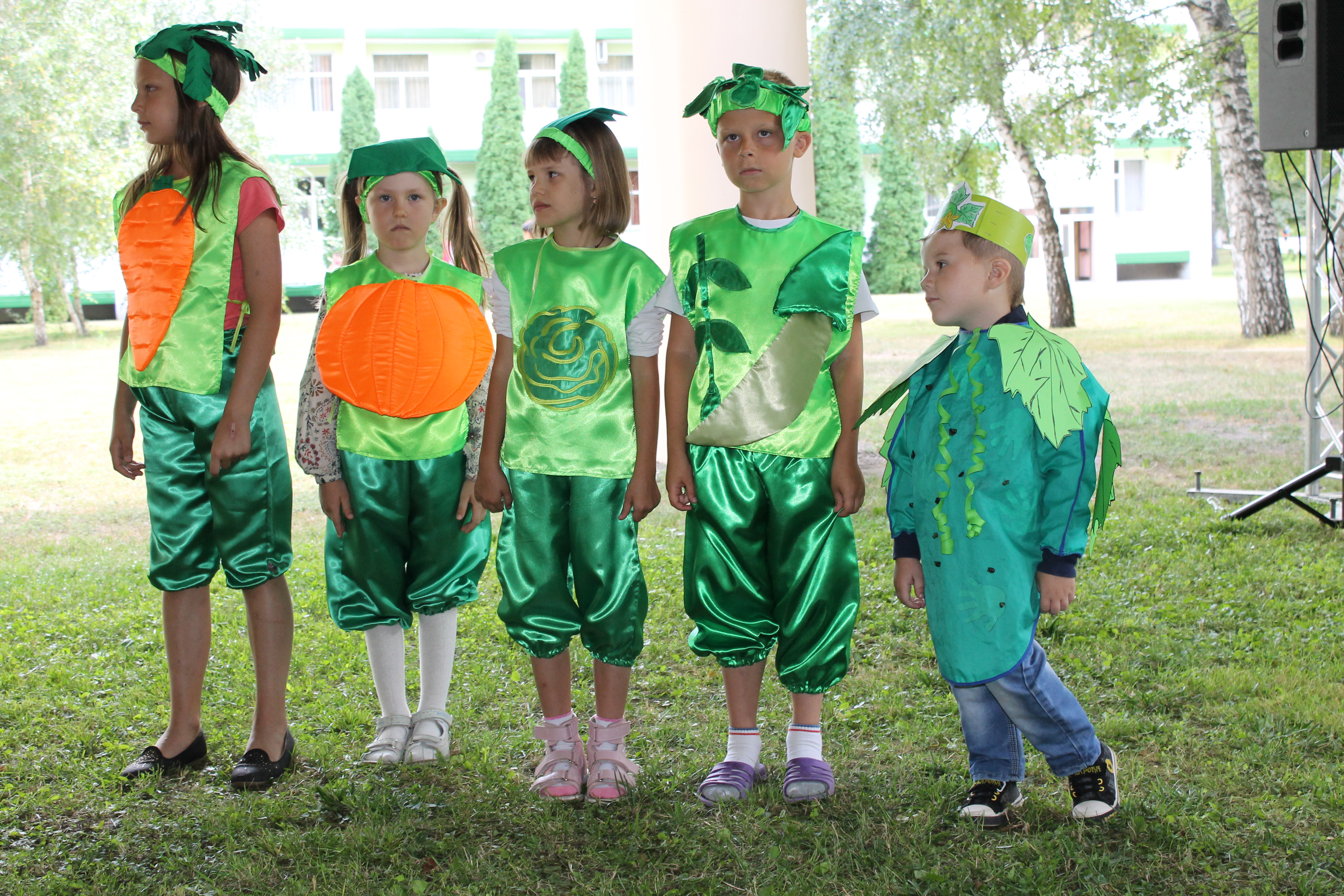 ДиаКемп 2016 в Миргороде - как это было - 7 изображение