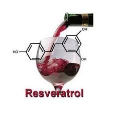 Ресвератрол и его польза в терапии диабета - 2 изображение