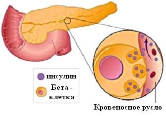 Нетрадиционный подход к лечению диабета: учёные из США открыли новый способ - 2 изображение