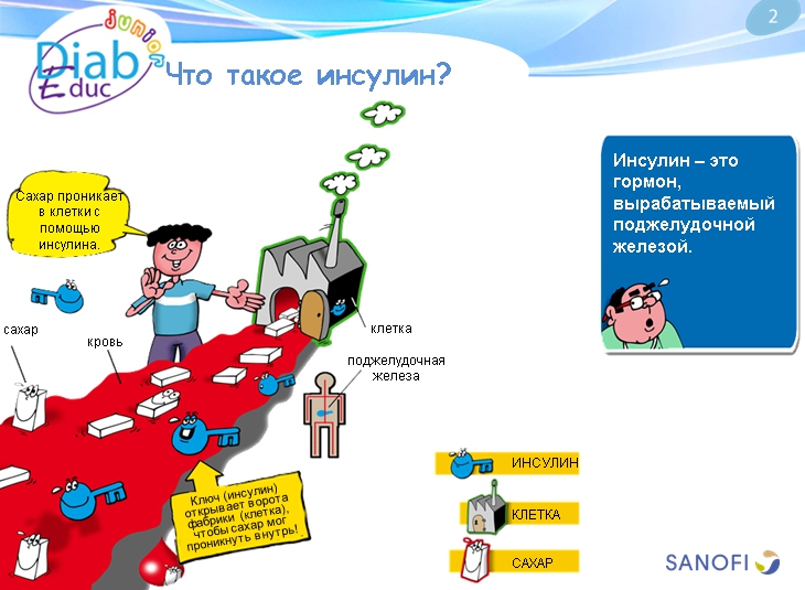 Инсулин и способы его введения: обучающая презентация для детей от Junior DiabEduc - 2 изображение