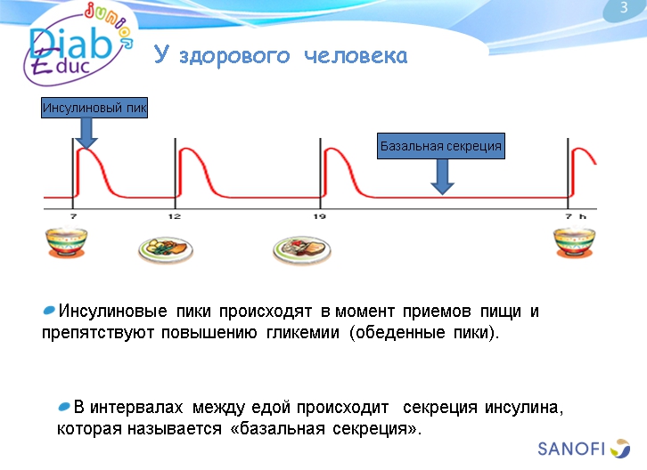 Инсулин и способы его введения: обучающая презентация для детей от Junior DiabEduc - 3 изображение