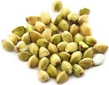 Польза зелёной гречки при диабете - 2 изображение