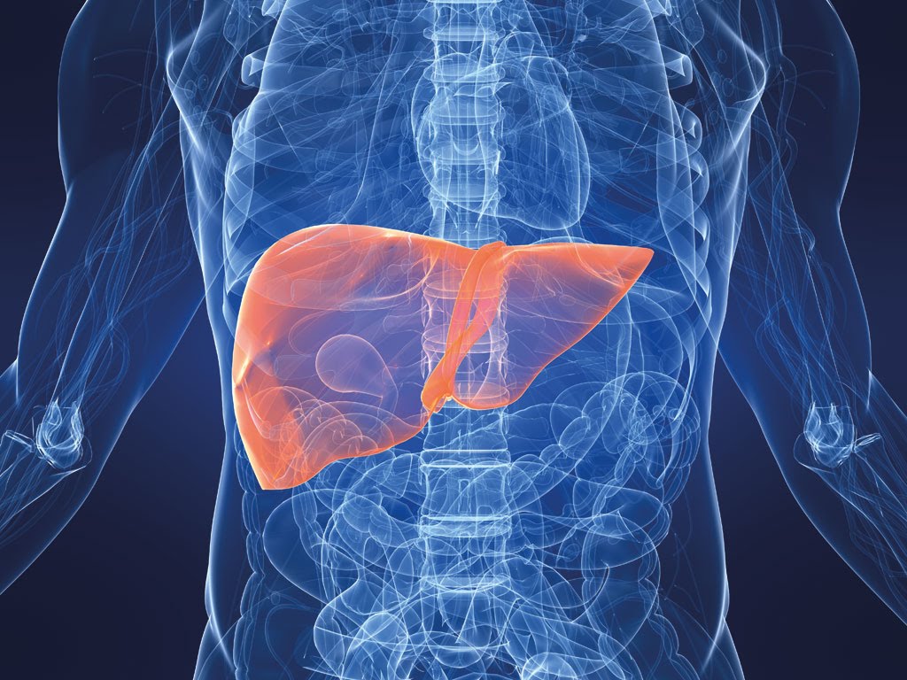 Сахарный диабет и печень: какова взаимосвязь? - 2 изображение