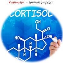 Стресс. Сахар. Инсулин. Какая между ними связь? - 2 фото Стресс. Сахар. Инсулин. Какая между ними связь? - 2 изображение