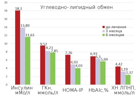 Применение Черничной пасты LiQberry в комплексе со стандартной сахароснижающей терапией - 2 изображение