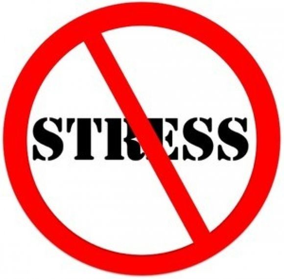 16 способов, как снизить уровень плохого холестерина - 14 фото 16 способов, как снизить уровень плохого холестерина - 14 изображение