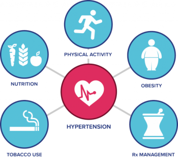 Гипертензия при диабете - причины, риски, лечение - 3 фото Гипертензия при диабете - причины, риски, лечение - 3 изображение