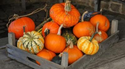 Сколько хлебных единиц в свежих овощах - 16 фото Сколько хлебных единиц в свежих овощах - 16 изображение