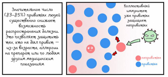 Комикс о прививках: Вечное сопротивление - 22 фото Комикс о прививках: Вечное сопротивление - 22 изображение
