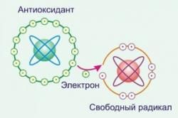 Чай и кофе в борьбе с сопутствующими болезнями диабета - 2 изображение