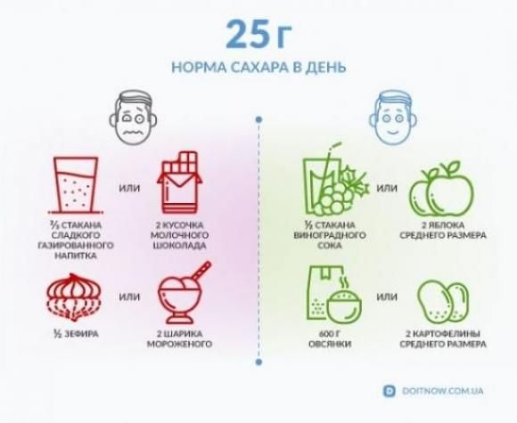 Враг или лучший друг? Научный взгляд на сахар в рационе - 4 фото Враг или лучший друг? Научный взгляд на сахар в рационе - 4 изображение