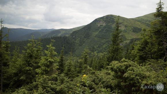 Диабет вершинам не помеха или как СахарОК оказался на Говерле - 6 изображение