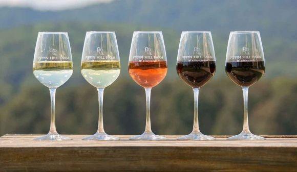 Вино, и всё что человеку с диабетом нужно о нем знать - 5 фото Вино, и всё что человеку с диабетом нужно о нем знать - 5 изображение