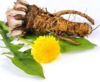 7 трав для лучшего контроля гликемии при диабете - 6 изображение