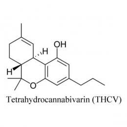 Каннабис в лечении диабета: еще одно исследование по применению медицинской марихуаны - 2 изображение