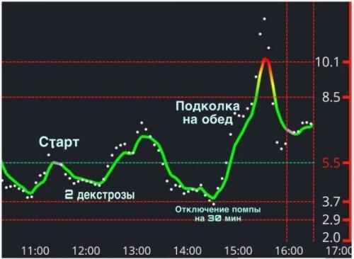 Бег и сахарный диабет 1 типа. Личный опыт - 3 фото Бег и сахарный диабет 1 типа. Личный опыт - 3 изображение