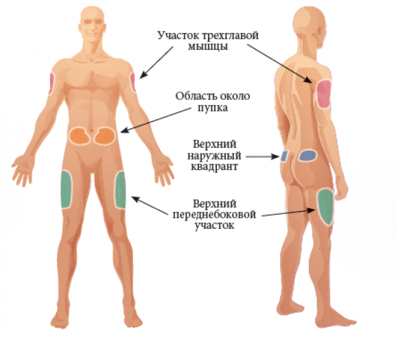 Что такое инсулин: от А до Я - 5 фото Что такое инсулин: от А до Я - 5 изображение