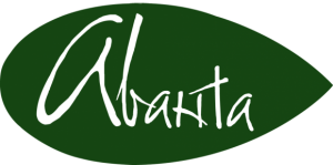 Ухоженные ножки, открытые босоножки - 6 изображение