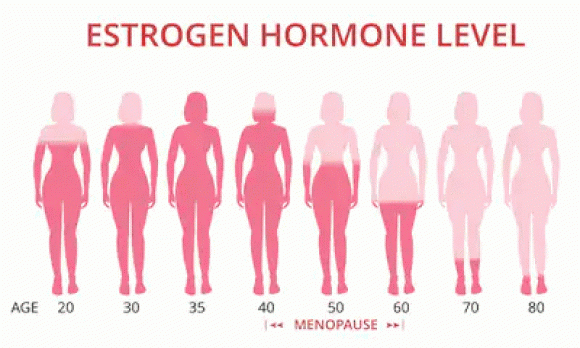 Менопауза и диабет. Особенности лечения и нормализации гормонального баланса - 3 фото Менопауза и диабет. Особенности лечения и нормализации гормонального баланса - 3 изображение