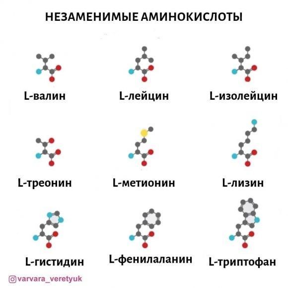 Белок как основа жизни и источник энергии - 4 фото Белок как основа жизни и источник энергии - 4 изображение