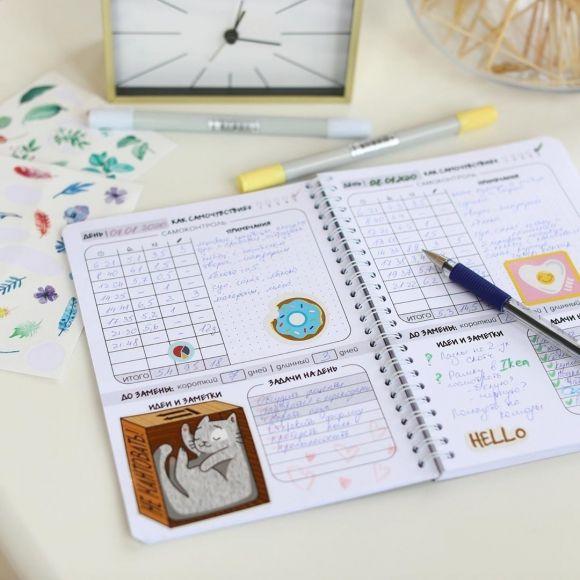 DiaDay Planner — твой идеальный дневник самоконтроля. Обзор от Сахарка - 3 изображение