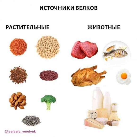 Строительные блоки белкового кроссворда: веселая образовательная головоломка -ETprotein