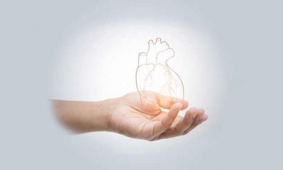 Может ли сердце воспаляться?
Причины, симптомы, диагностика и лечение эндокардита - 2 фото Может ли сердце воспаляться?
Причины, симптомы, диагностика и лечение эндокардита - 2 изображение